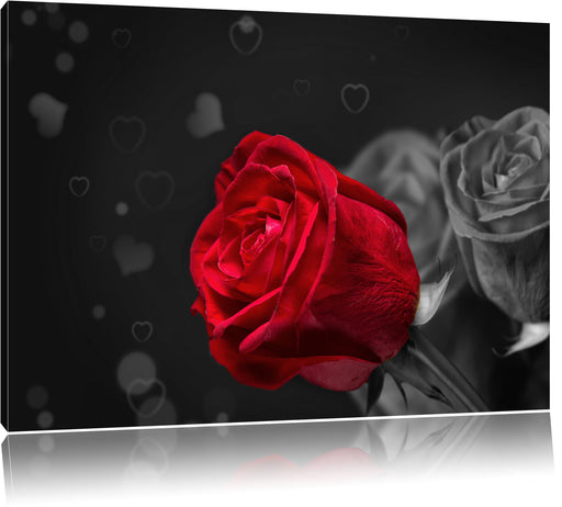 rote Rosen zum Valentinstag Leinwandbild
