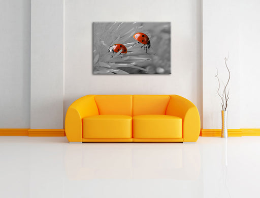 Marienkäfer krabbeln auf Blüte Leinwandbild über Sofa