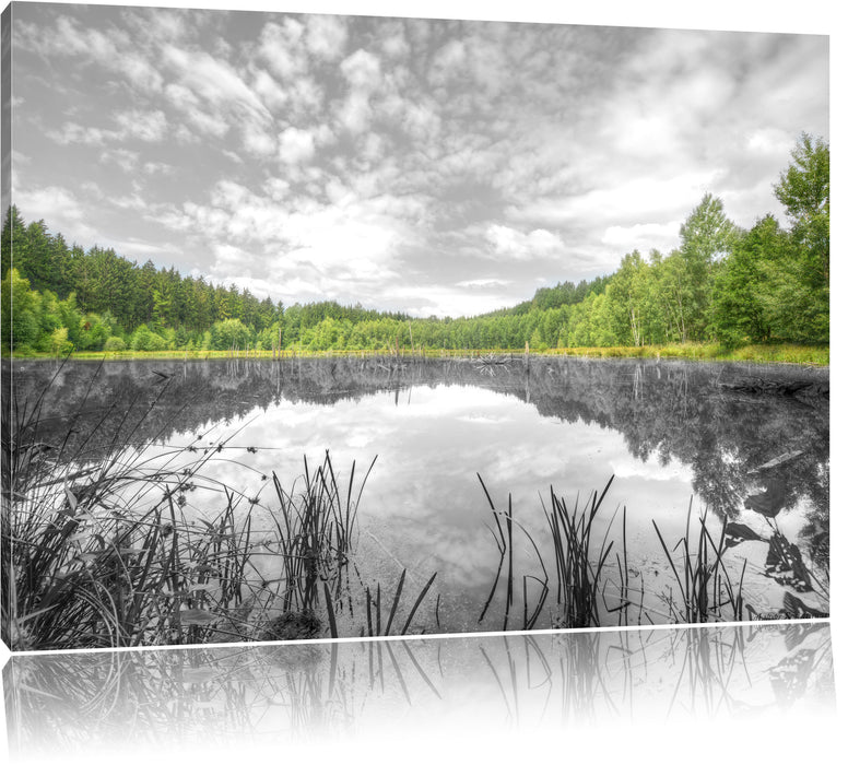 traumhafter See in grünem Wald Leinwandbild