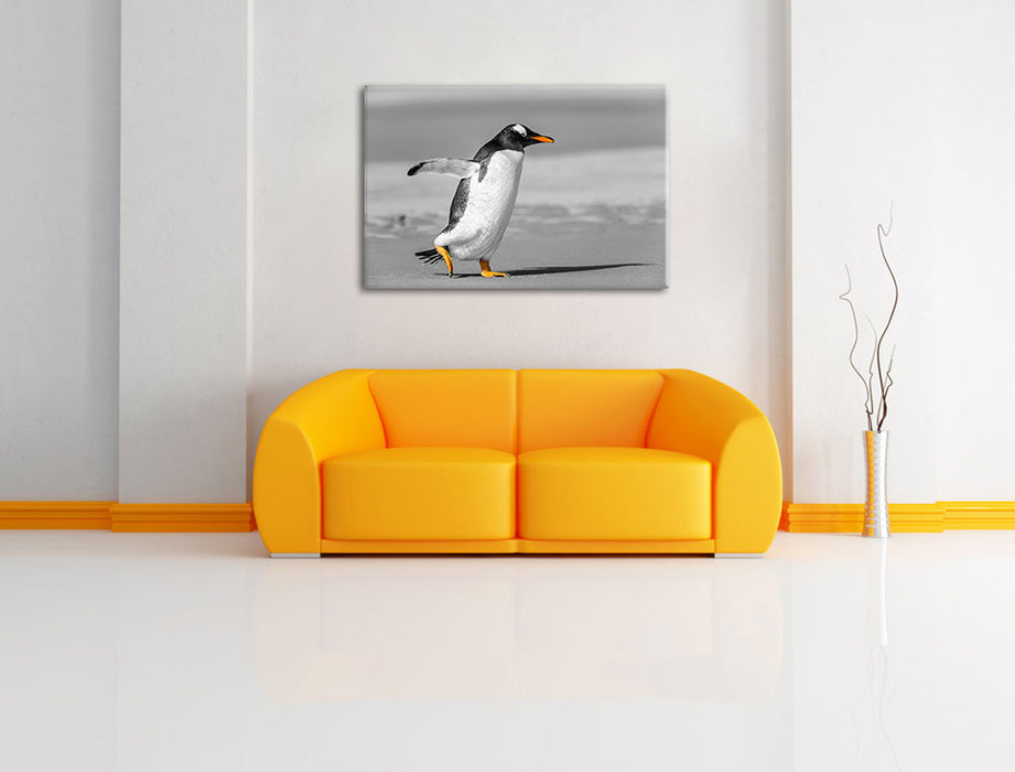 watschelnder Pinguin am Strand Leinwandbild über Sofa