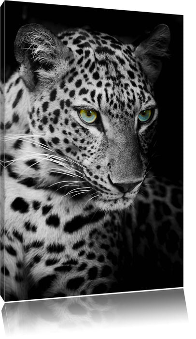 Leopardenkopf Leinwandbild