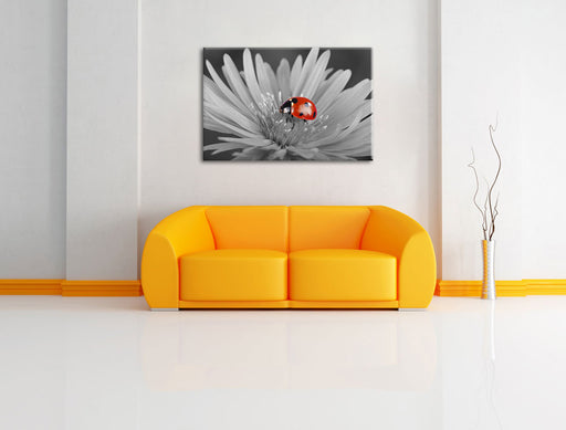 leuchtender Marienkäfer auf Blüte Leinwandbild über Sofa