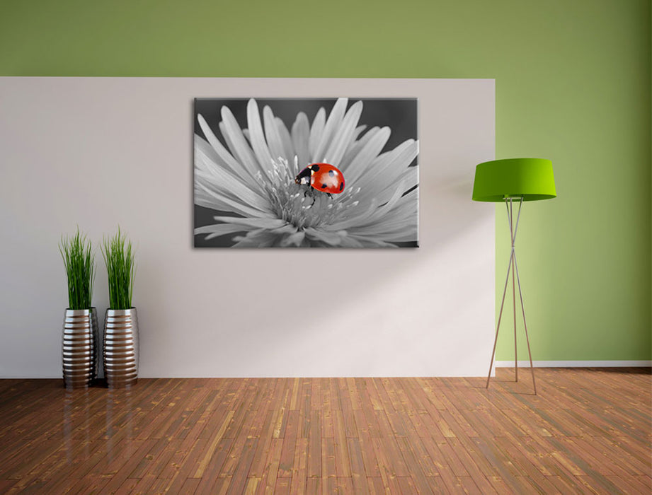 leuchtender Marienkäfer auf Blüte Leinwandbild im Flur