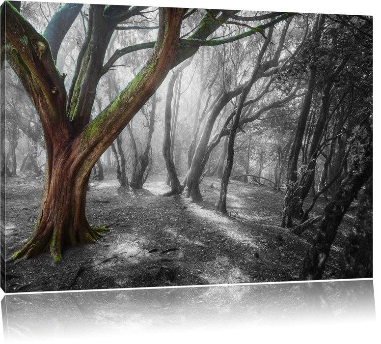 Pixxprint einsamer Baum in tristem Grau, Leinwandbild