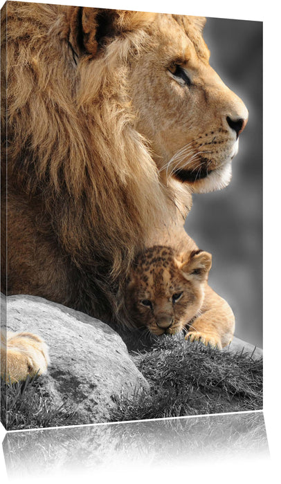 Löwe mit Löwenbaby Leinwandbild