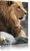 Löwe mit Löwenbaby Leinwandbild