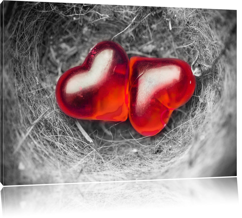Pixxprint zwei Herzen in kleinem Nest, Leinwandbild
