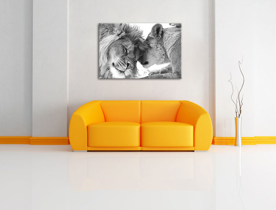 Bezauberndes kuschelndes Löwenpaar Leinwandbild über Sofa
