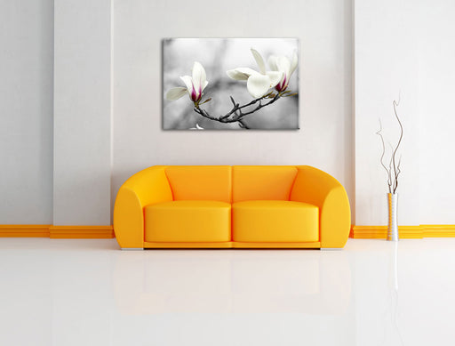 Magnolienblüten Leinwandbild über Sofa