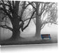 Einsame Bank im Nebel Leinwandbild