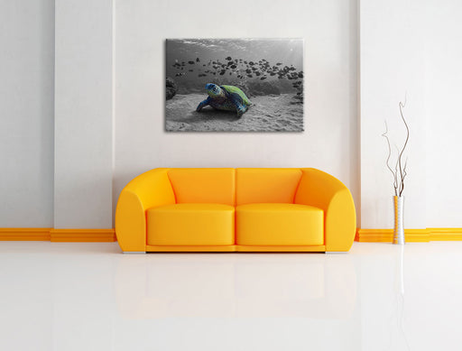 Schildkröte im Ozean Leinwandbild über Sofa