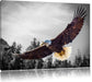 großer fliegender Adler Leinwandbild