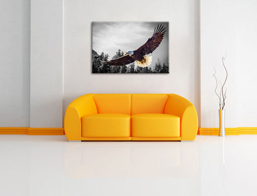 großer fliegender Adler Leinwandbild über Sofa