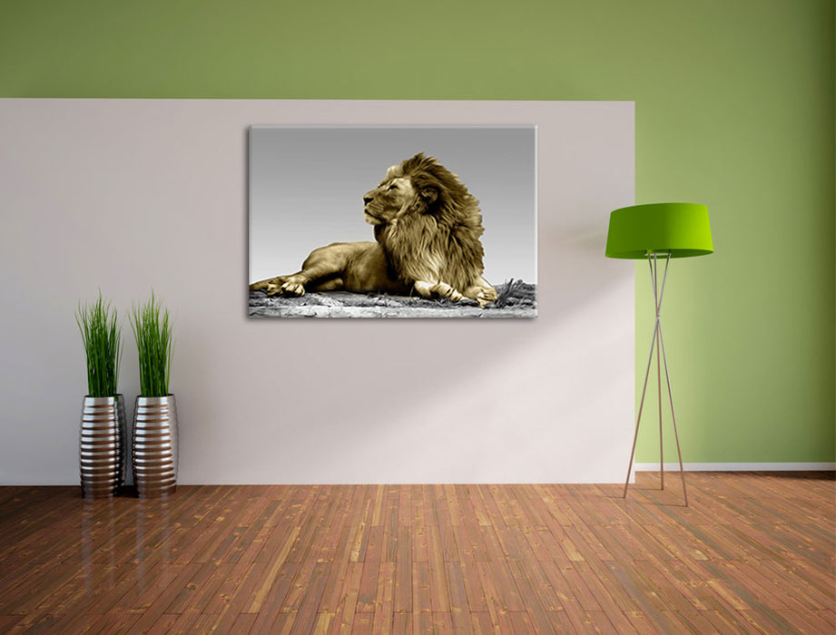 majestäischer Löwe auf Fels Leinwandbild im Flur