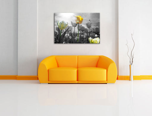 wunderschöne Tulpenwiese Leinwandbild über Sofa