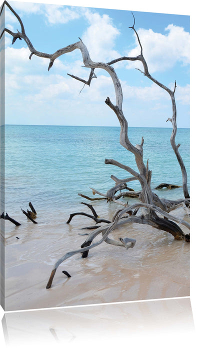 Pixxprint Strand Meer Havanna Kuba, Leinwandbild