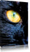 Schwarze Katze orangene Augen Leinwandbild