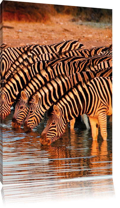 Safari mit Zebras in Afrika Leinwandbild
