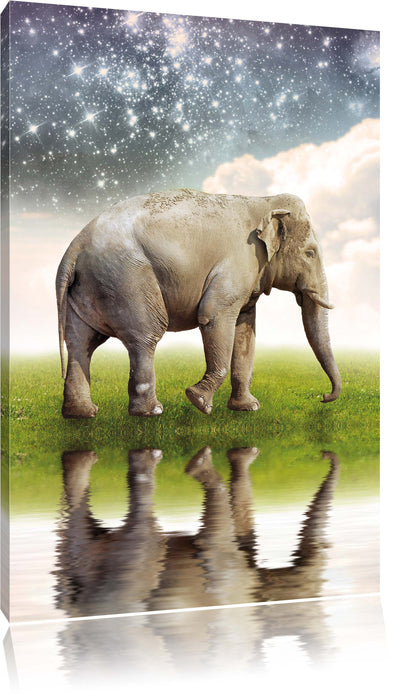 Pixxprint Elefant mit Sternenhimmel, Leinwandbild