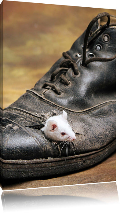 Pixxprint Maus im schwarzen Schuh, Leinwandbild