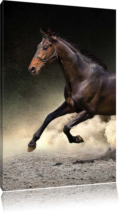 Pixxprint Dark Schwarzer Hengst, Leinwandbild