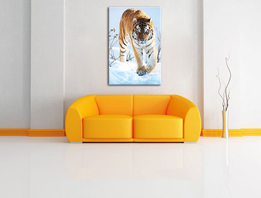 Tiger im Schnee Leinwandbild über Sofa