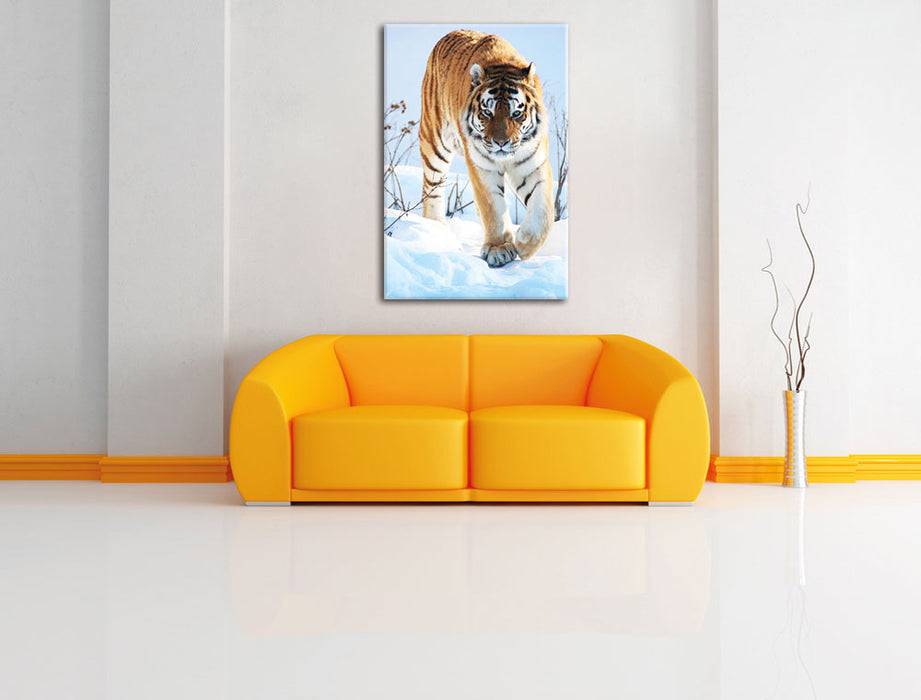 Tiger im Schnee Leinwandbild über Sofa