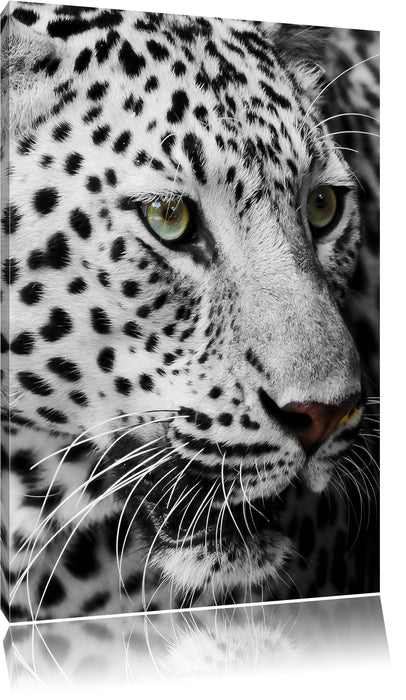 Pixxprint Weißer Leopard, Leinwandbild