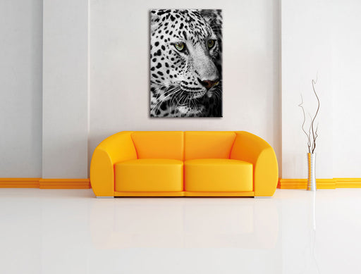 Weißer Leopard Leinwandbild über Sofa