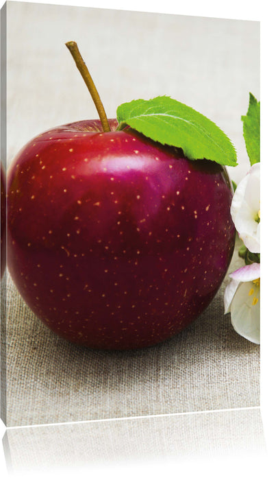 Pixxprint Apfel mit Apfelblüte, Leinwandbild