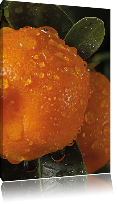 Pixxprint Wassertropfen auf Orangen, Leinwandbild