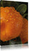Wassertropfen auf Orangen Leinwandbild