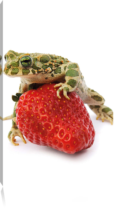 Pixxprint Erdbeere mit Frosch, Leinwandbild