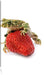 Erdbeere mit Frosch Leinwandbild