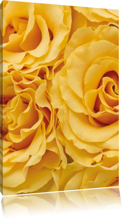 Pixxprint Blumen Rosen, Leinwandbild