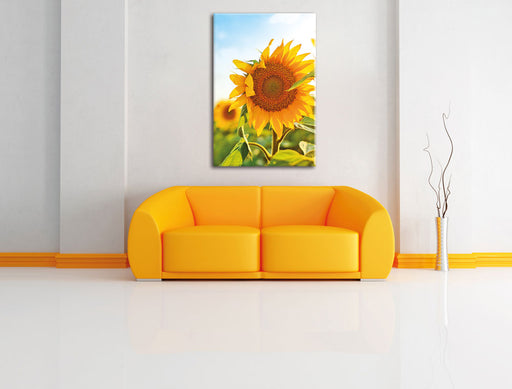 Sonnenblumenfeld SonnenblumeSonne Leinwandbild über Sofa