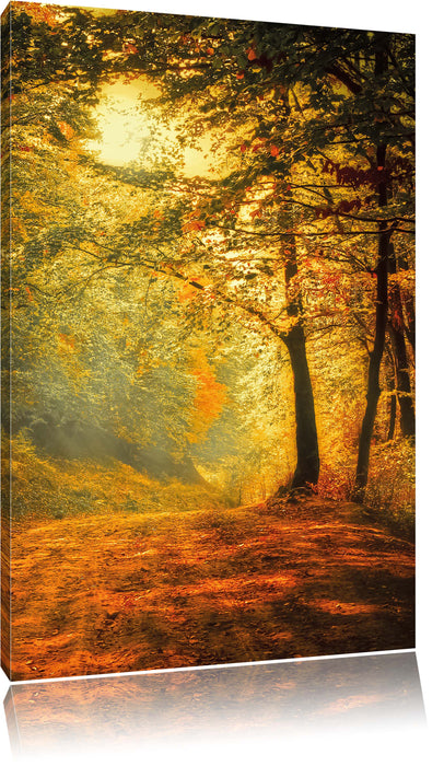 Pixxprint Wald im Herbst, Leinwandbild