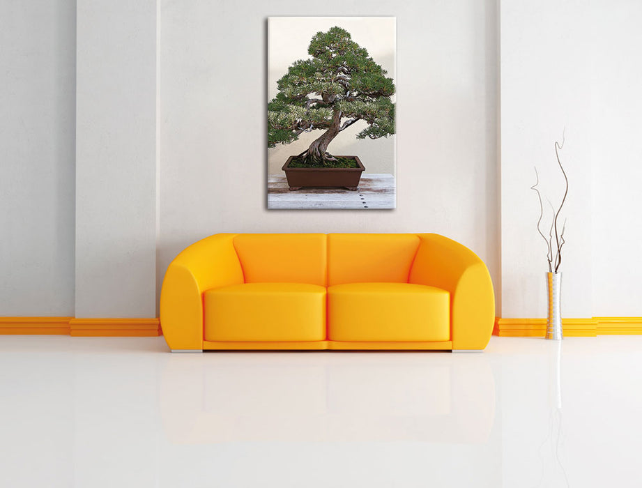 Bonsai Baum Leinwandbild über Sofa