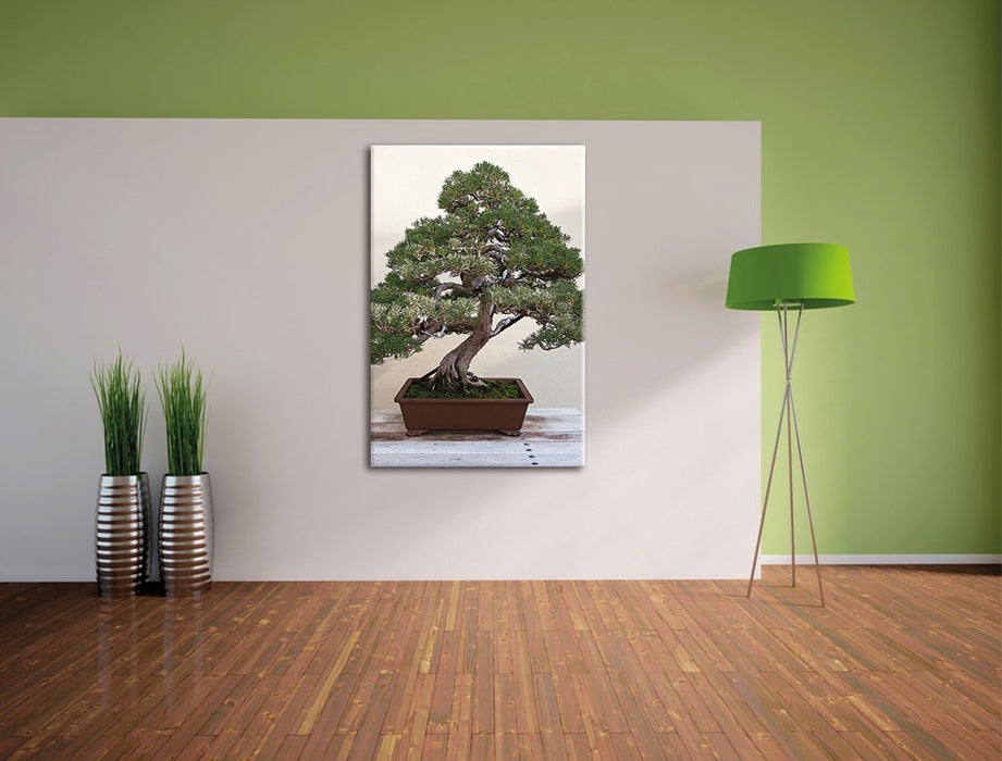 Bonsai Baum Leinwandbild im Flur