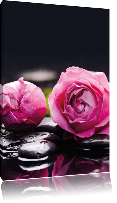 Pixxprint Rosa Rosenblüte Hintergrund, Leinwandbild