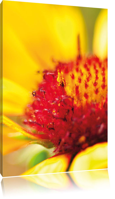 Pixxprint Blüte Nahaufnahme, Leinwandbild