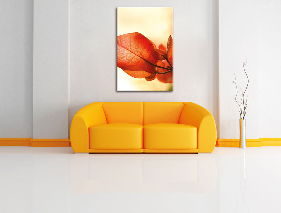 Sonnenstrahlen auf Blüten Leinwandbild über Sofa