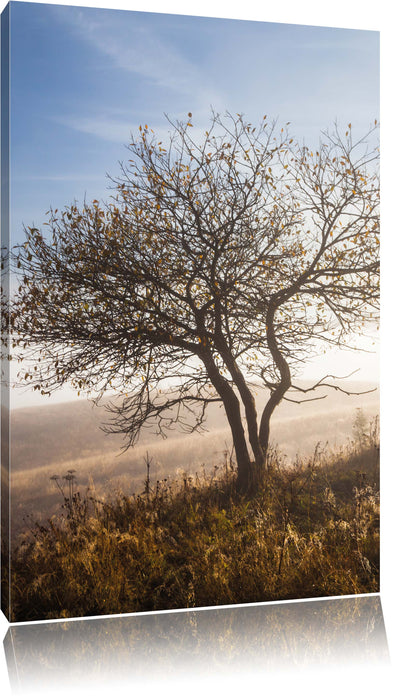 Pixxprint Baum im hohen Gras, Leinwandbild