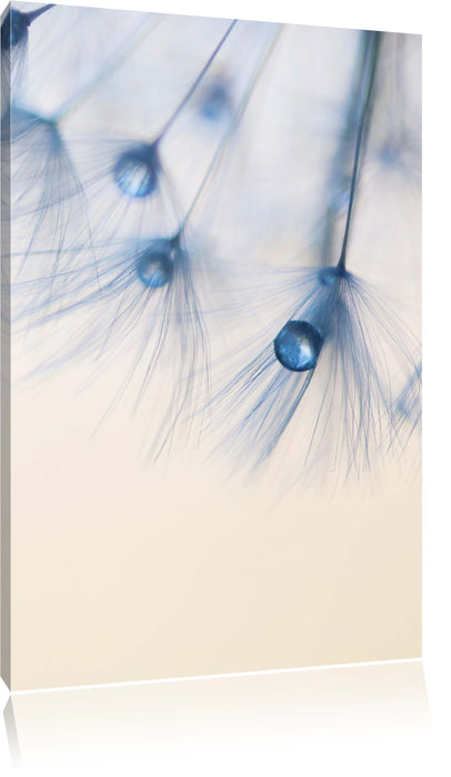 Pixxprint Pusteblume Nahaufnahme, Leinwandbild