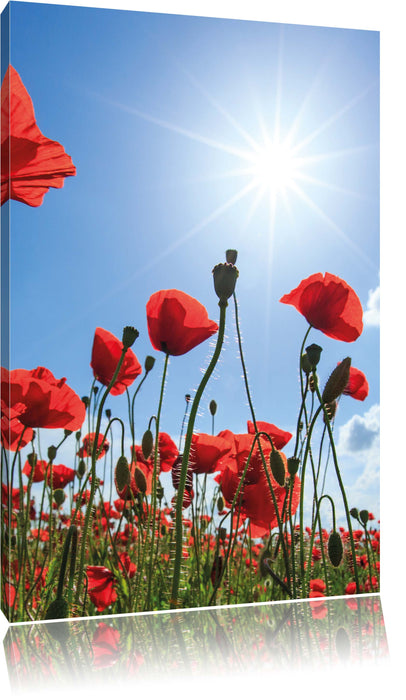 Pixxprint Mohnblumen, Leinwandbild