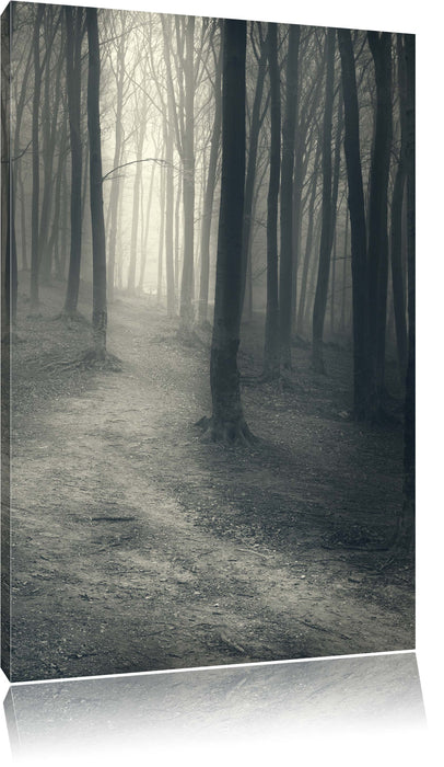 Pixxprint Düstere Landschaft schwarz weiß, Leinwandbild