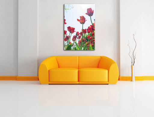 Tulpenfeld Leinwandbild über Sofa