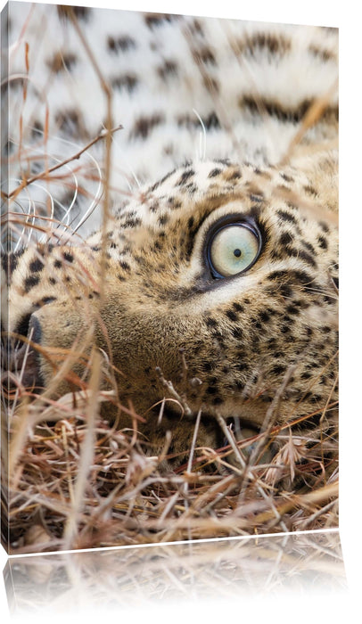 Pixxprint Leopard, Leinwandbild