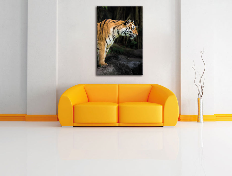 Tiger Leinwandbild über Sofa