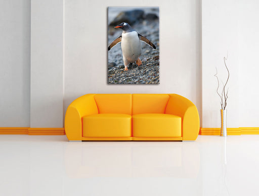 Pinguine Leinwandbild über Sofa